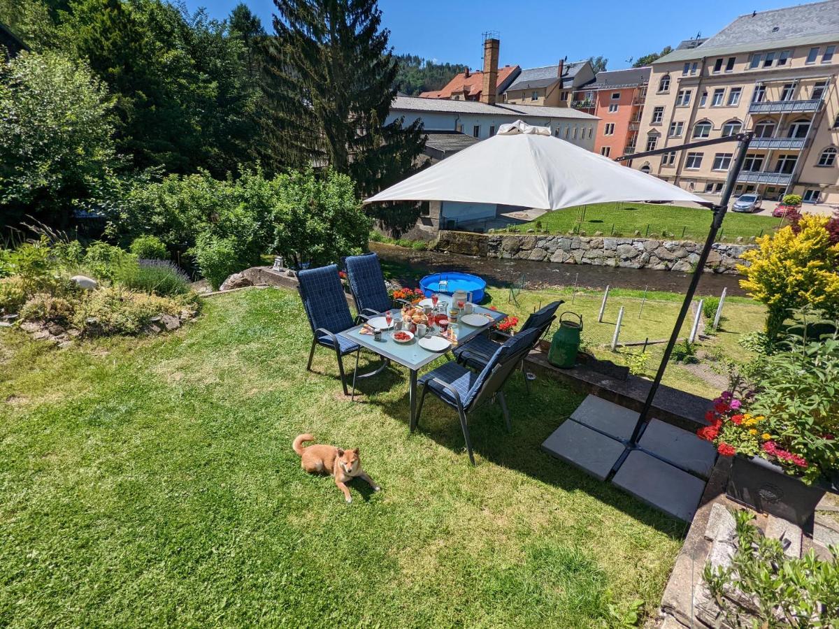 Lichtdurchflutete Helle Wohnung Mit Garten Sauna & Pool - Hw3 Sebnitz Exterior foto